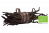Essential Organic Madagascan Vanilla Pods