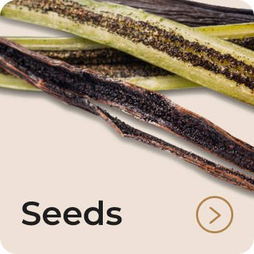 Seeds