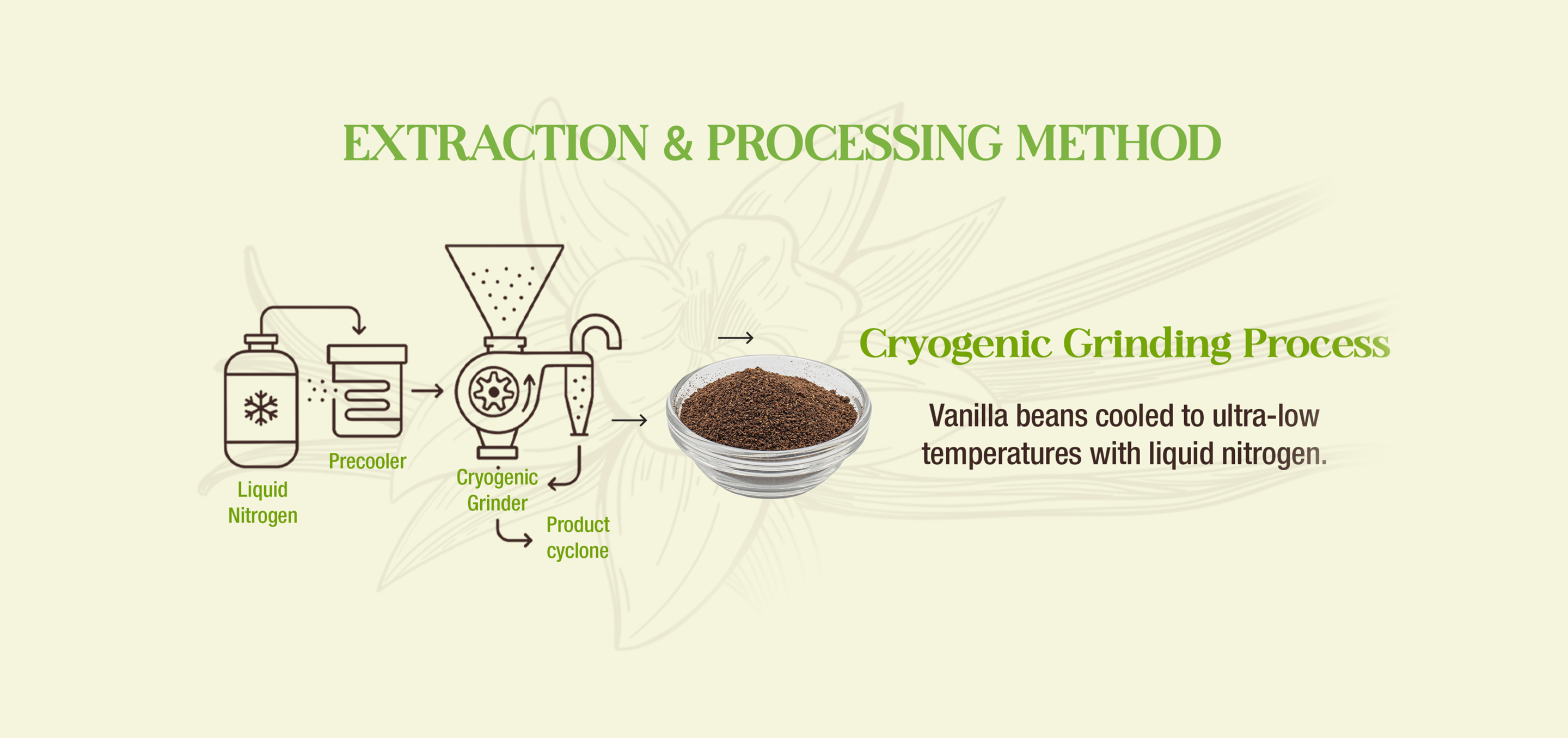 Vanilla powder extraction process